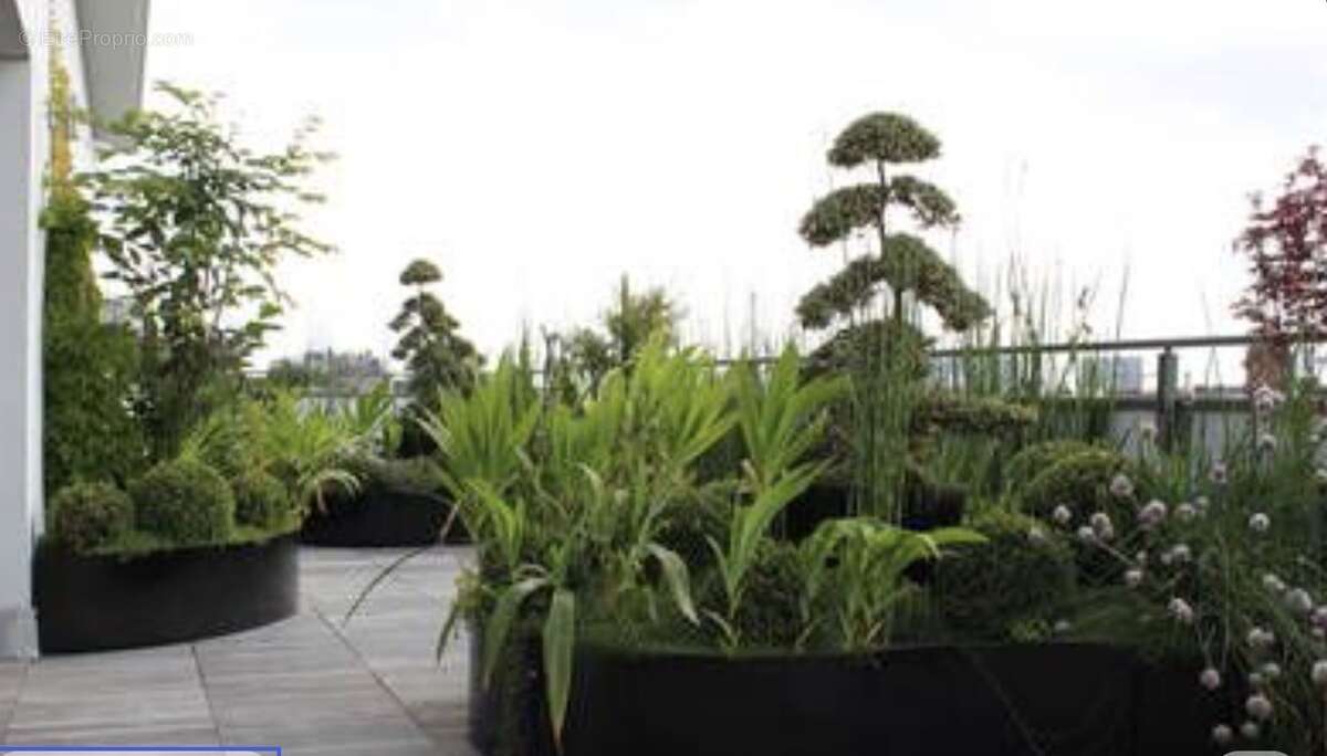 Appartement - photo 2