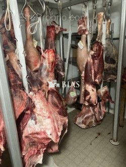 Autre à RIS-ORANGIS