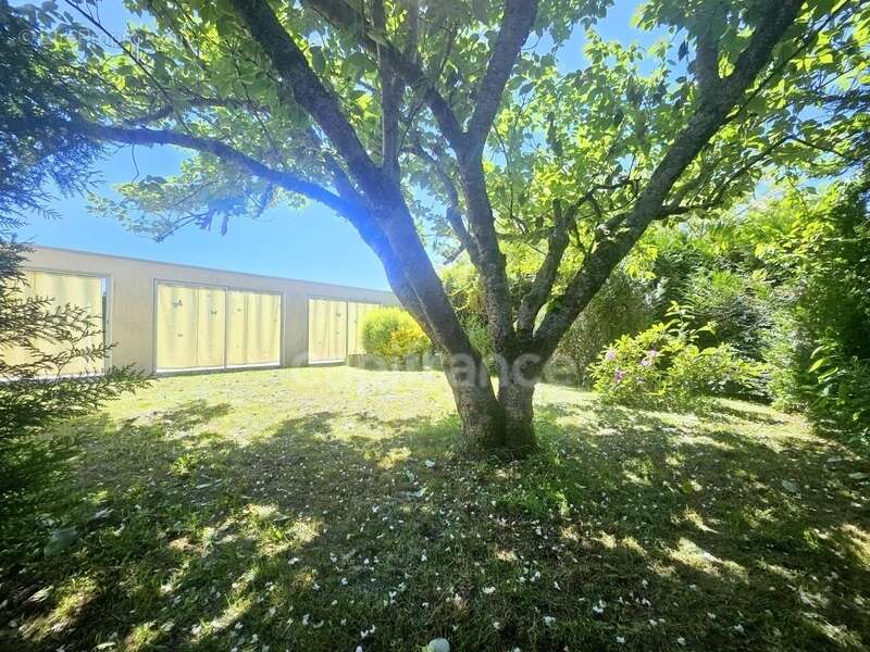 Maison de caractère 225m2 avec piscine chauffée - photo 14