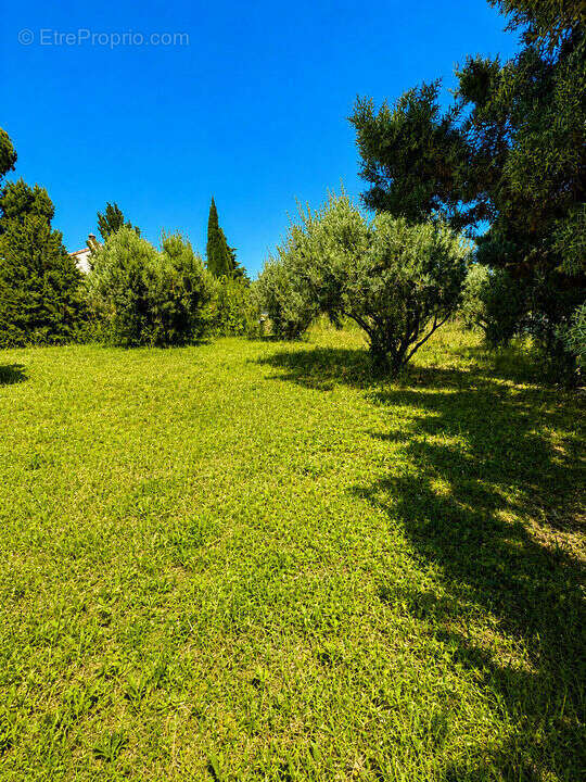 Rochefort du Gard, maison 89m², terrain 1600 m2 - photo 2