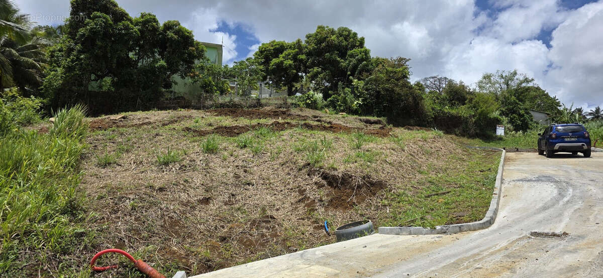 Terrain à SAINT-JOSEPH