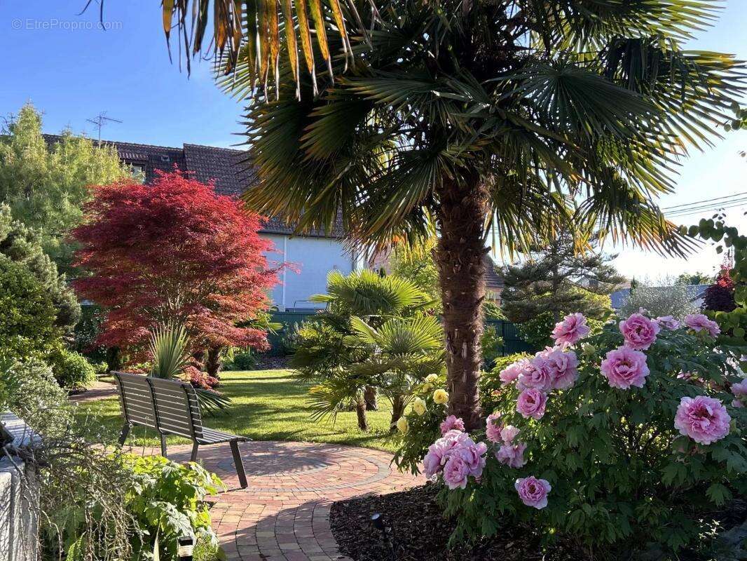 Maison à LA WANTZENAU