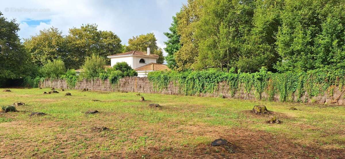 Terrain à MARTIGNAS-SUR-JALLE