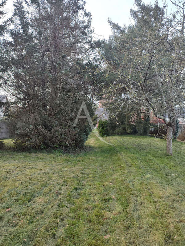 Maison à NOUAN-LE-FUZELIER