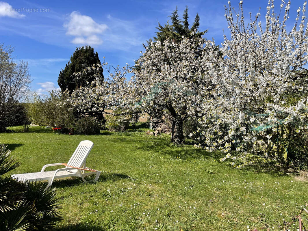 Maison à COLLEVILLE-MONTGOMERY