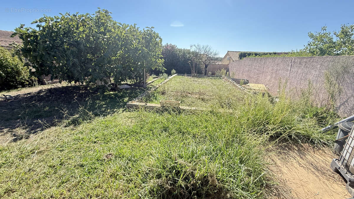 Maison à MARSEILLAN