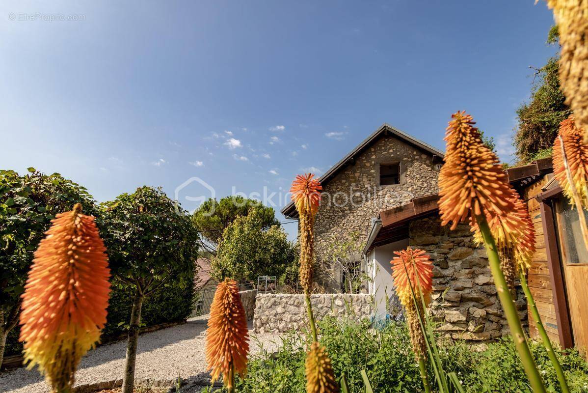 Maison à MONNETIER-MORNEX