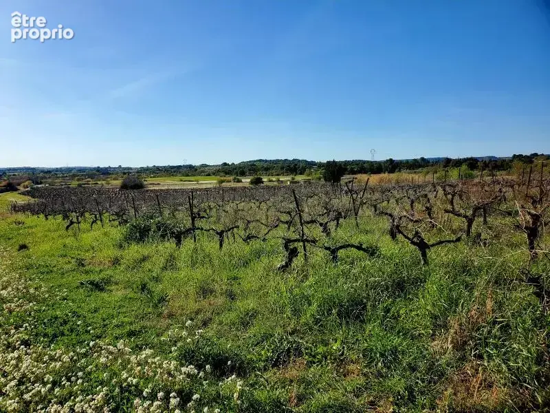 Terrain 361 m² à Loupian  - photo 2