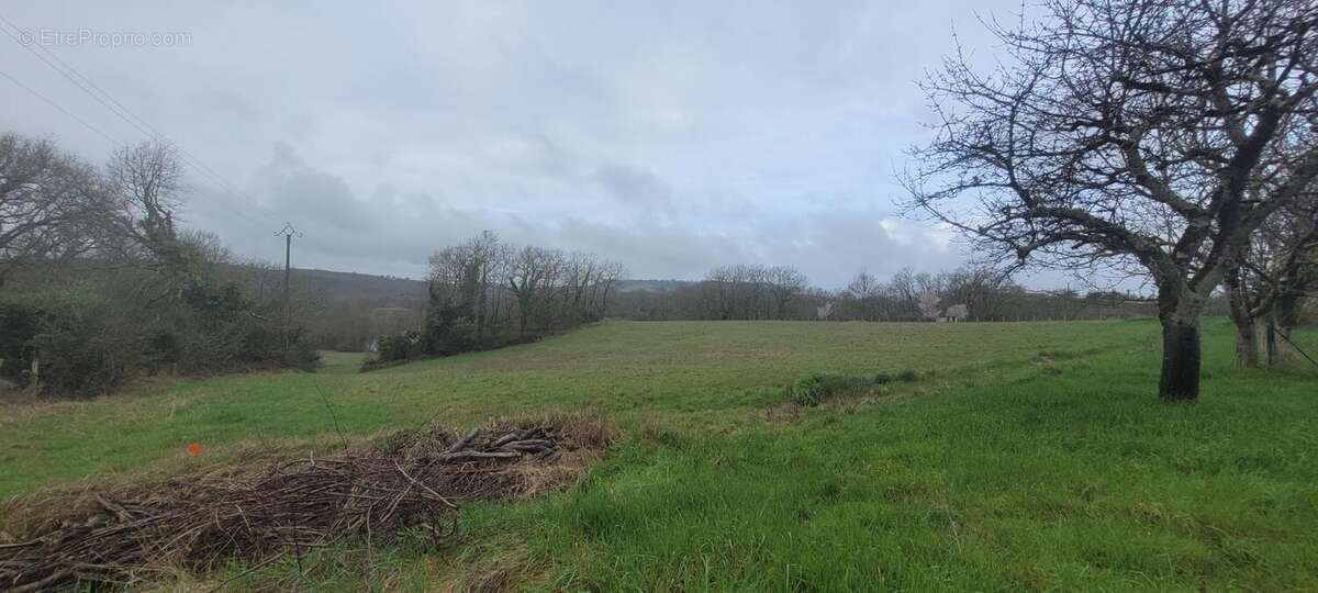 Photo 2 - Terrain à CONDEZAYGUES