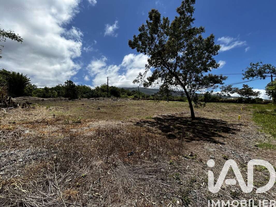 Photo 2 - Terrain à SAINT-JOSEPH