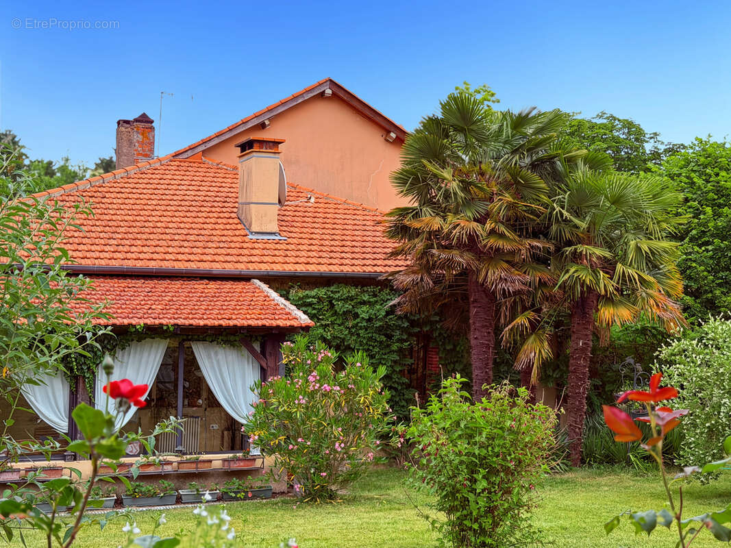 Propriété 358 m2 à vendre -avec 7700 m2 de parc - Maison 8 pièces de 234 m2, gîte de 124 m2 et piscine proche de MARCIAC (32) - photo 19