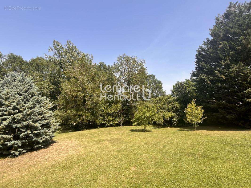 Superbe propriété 6 chambres, piscine sur 6800 m² de terrain - photo 9
