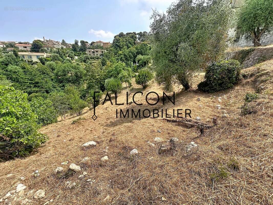 Falicon – Terrain constructible de 1 911 m² avec permis purgé pour une villa contemporaine - photo 4