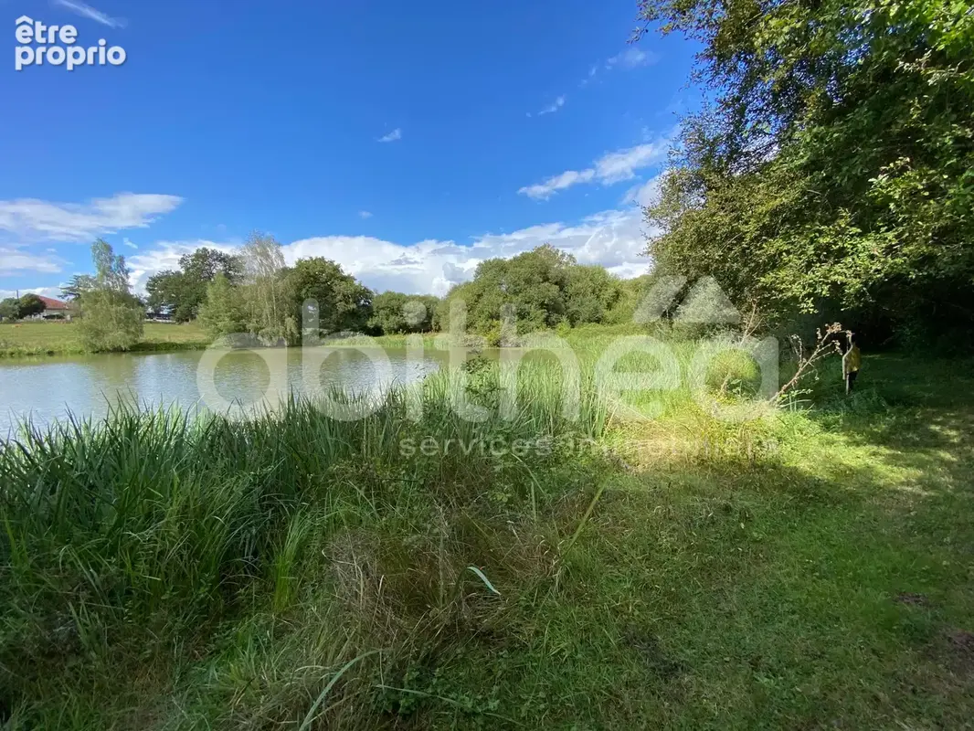 Terrain de loisirs avec 2 etangs - photo 17