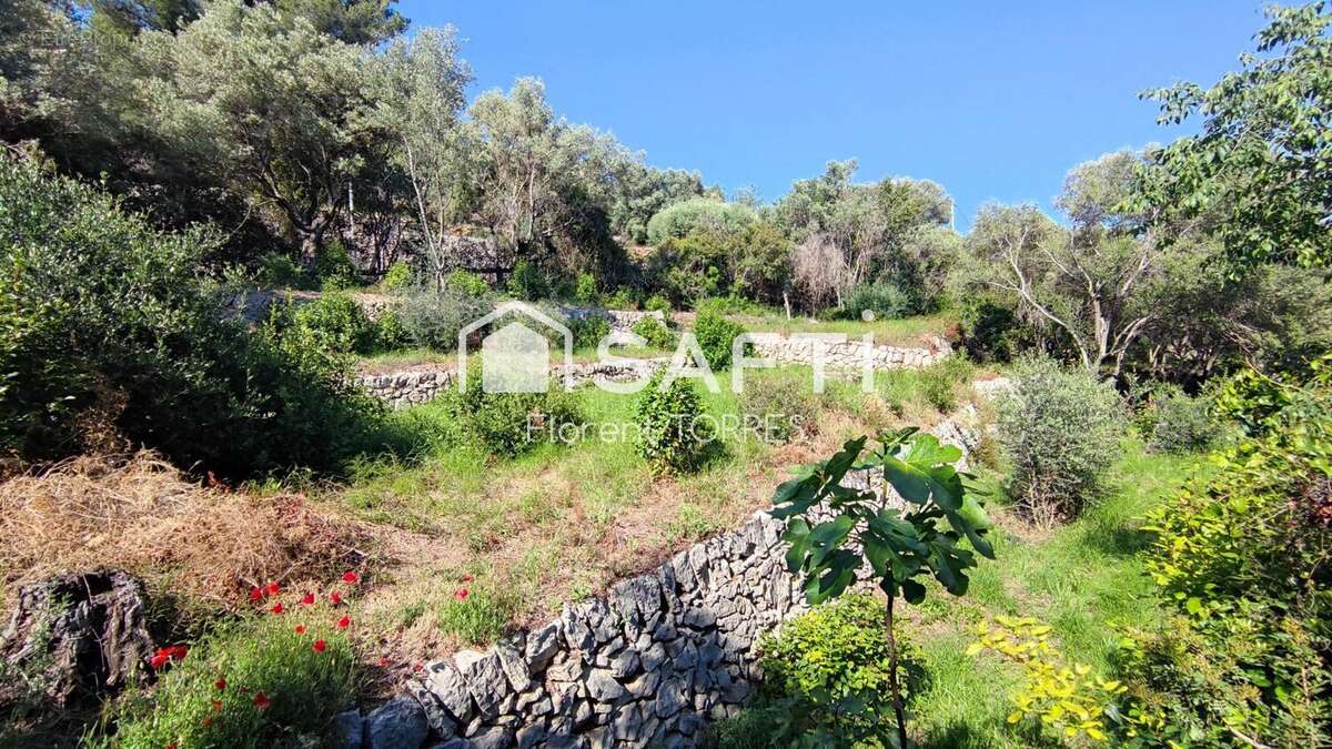 Photo 2 - Terrain à OLLIOULES