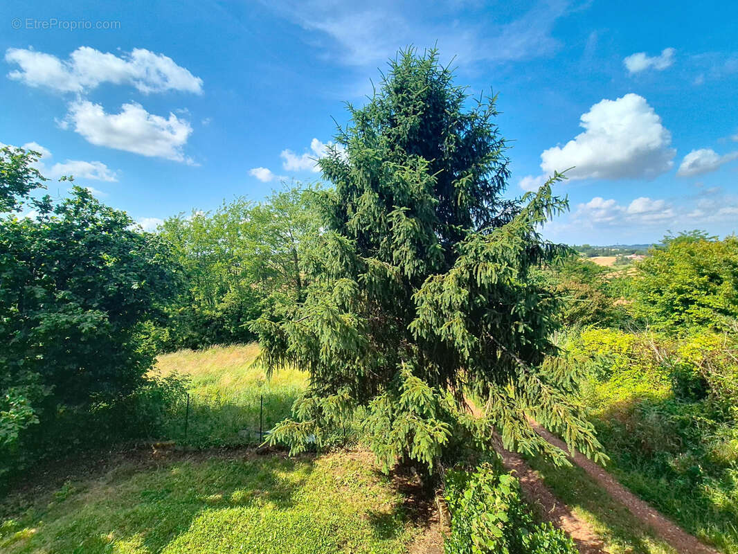 Autre à MONTFORT-EN-CHALOSSE