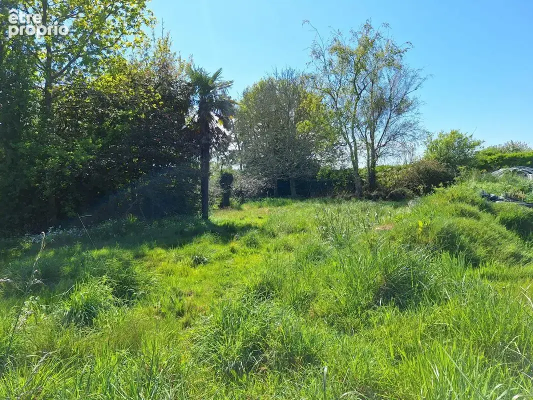 Beau Terrain Lesconil - photo 2