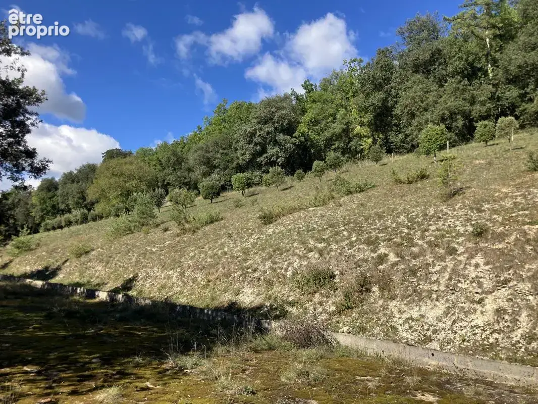 Terrain constructible de 7723m2 avec vue sur la Dordogne à Castels-et-Bézenac - photo 2
