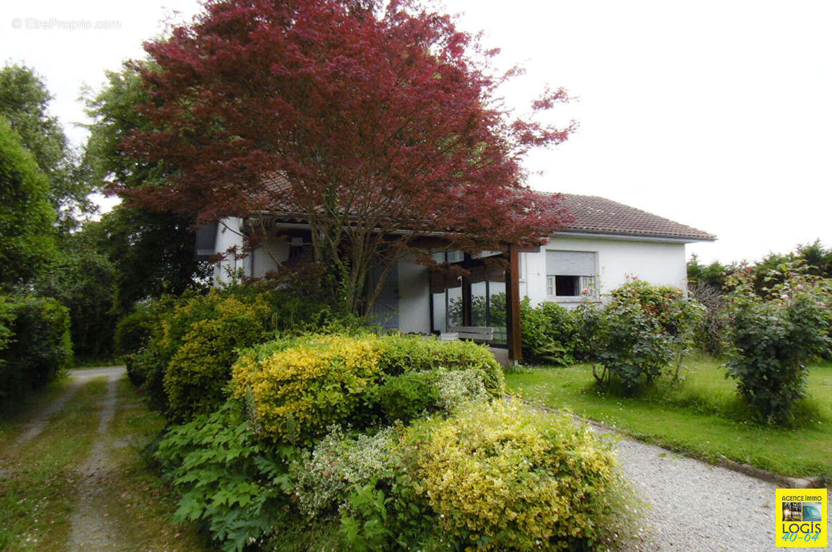 Maison 5p - st-pe-de-leren - photo 2