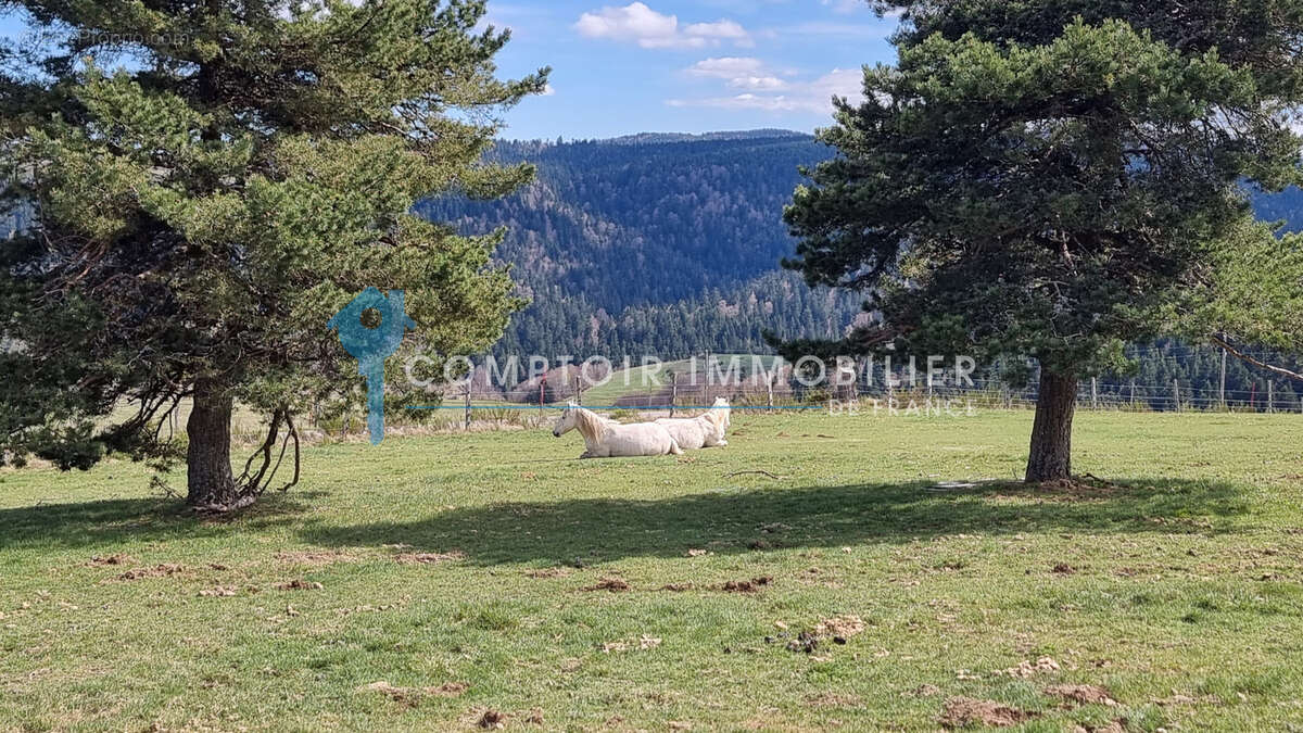 Maison à LE LAC-D'ISSARLES
