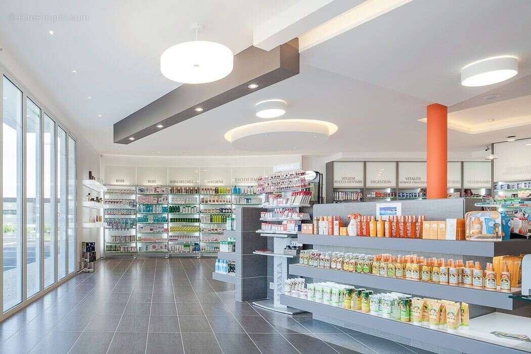 Commerce à SELLES-SUR-CHER