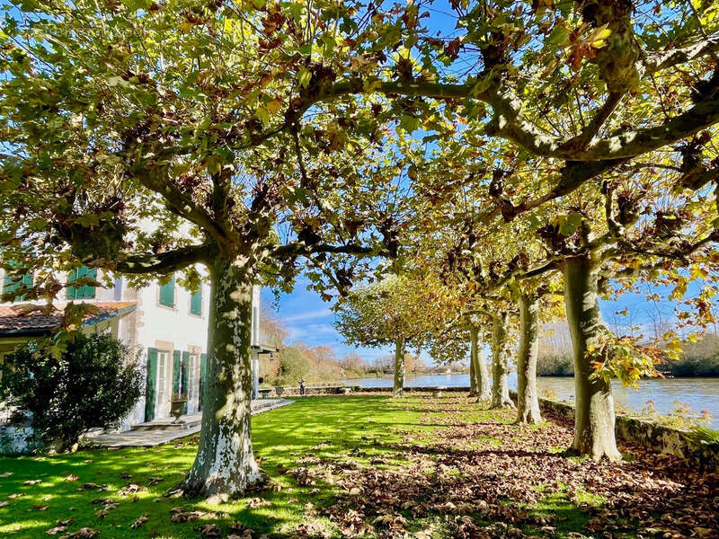 Maison à SAINT-MARTIN-DE-SEIGNANX