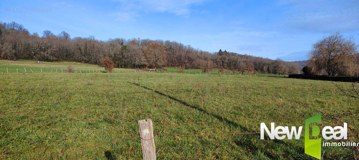 Terrain à SAINT-VIANCE