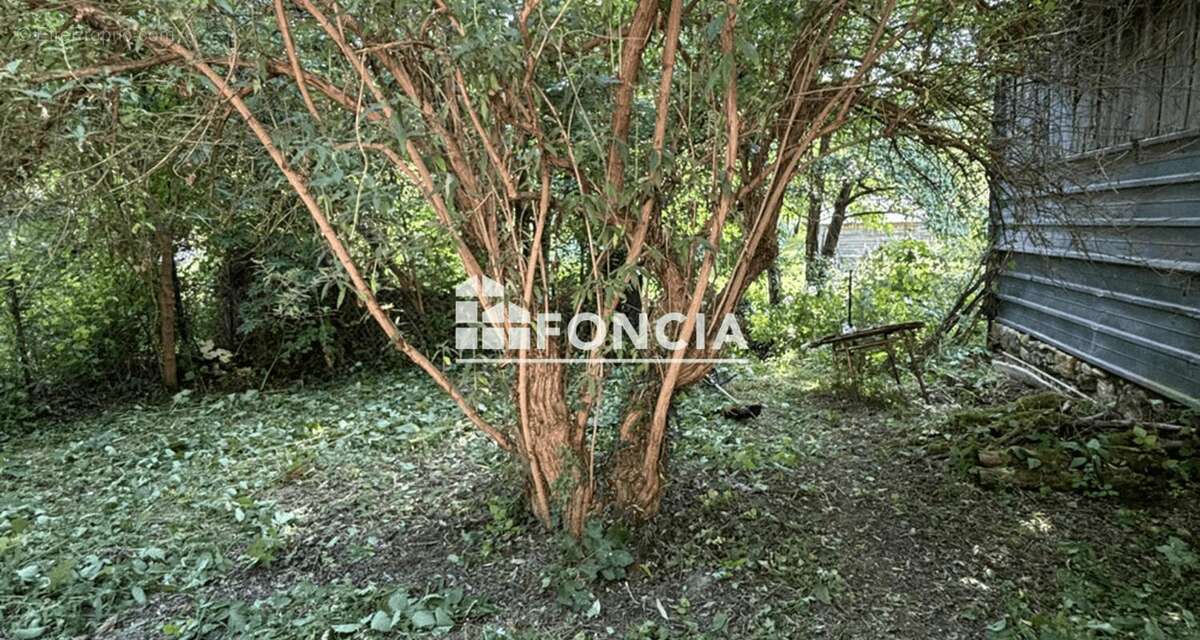 Maison troglodytique avec grange et terrain constructible – Villaines-les-Rochers - photo 6