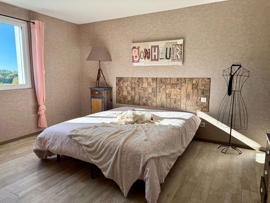 Secteur Saint Mexant - Maison 295 m² - photo 8