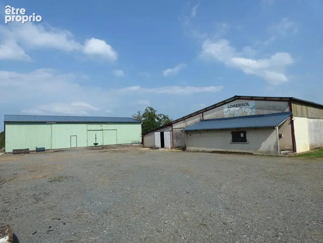 Maison 165m² / grange aménagée / bâtiments agricoles / étang / 18 hectares - photo 10