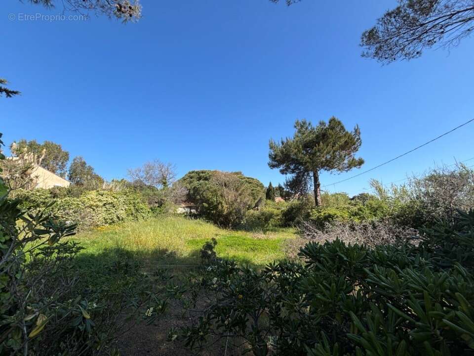Terrain 880 m² à Hyeres  - photo 2
