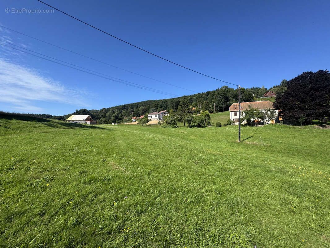 Terrain(s) constructible(s) 13,15a Hohwald - photo 10