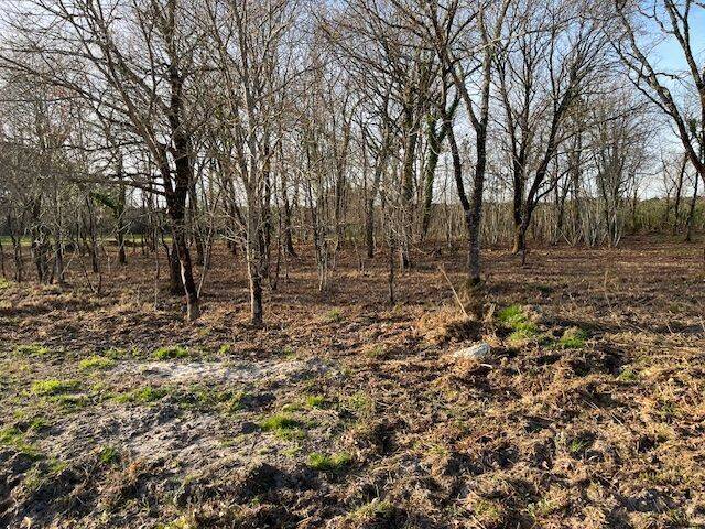 Terrain à AUDENGE