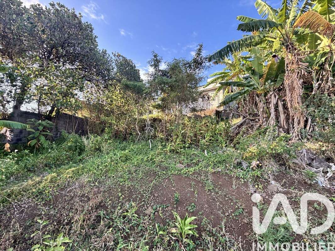 Photo 9 - Terrain à SAINT-JOSEPH