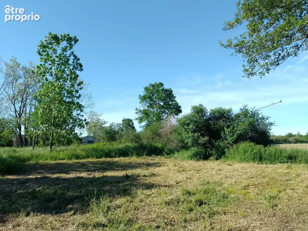 Terrain 1 767 m² à vendre à Mondavezan (31220) - photo 2
