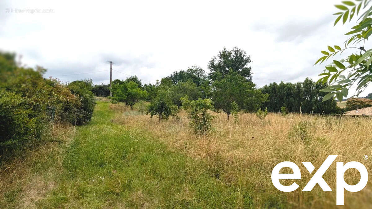 Paysage champêtre avec un sentier herbeux bordé de buissons et d'arbres sous un ciel nuageux. - Terrain à LA SAUVETAT-DE-SAVERES