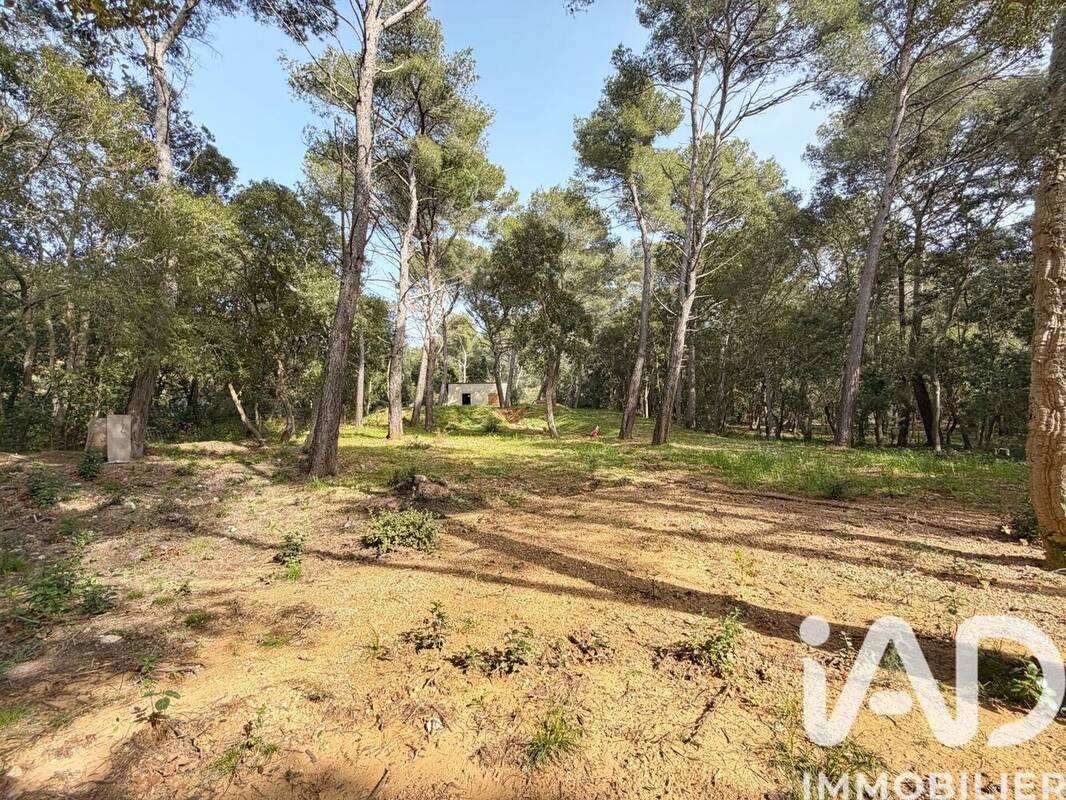 Photo 1 - Maison à SIX-FOURS-LES-PLAGES