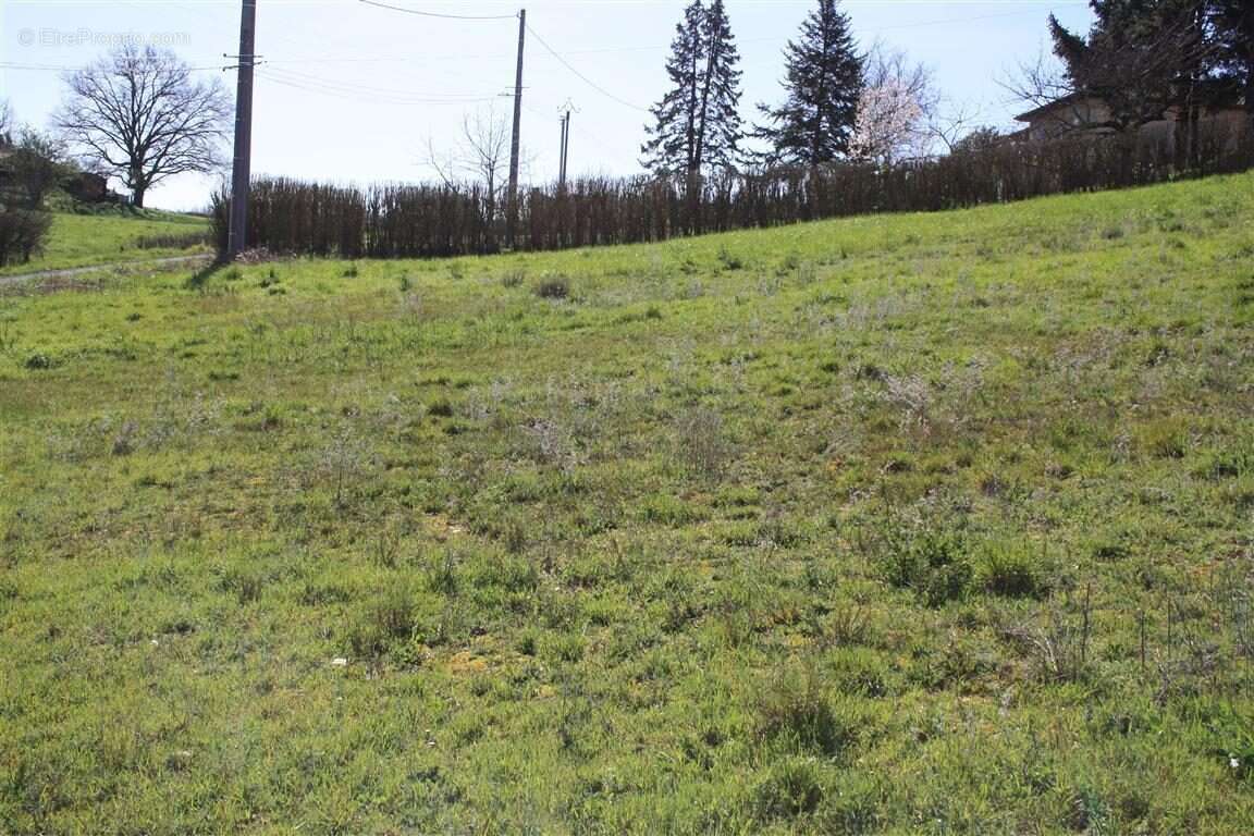 Terrain 2590 m² à Graulhet  - photo 6