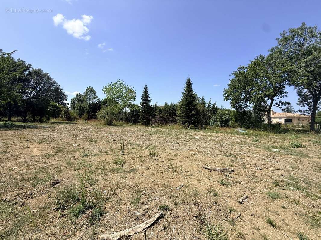 Terrain à bâtir de 2428 m² à CASTELMAUROU (31) - photo 2