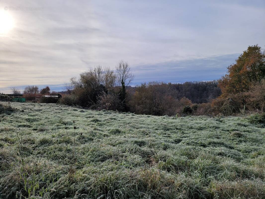 Terrain à SAINT-LEONARD-DE-NOBLAT