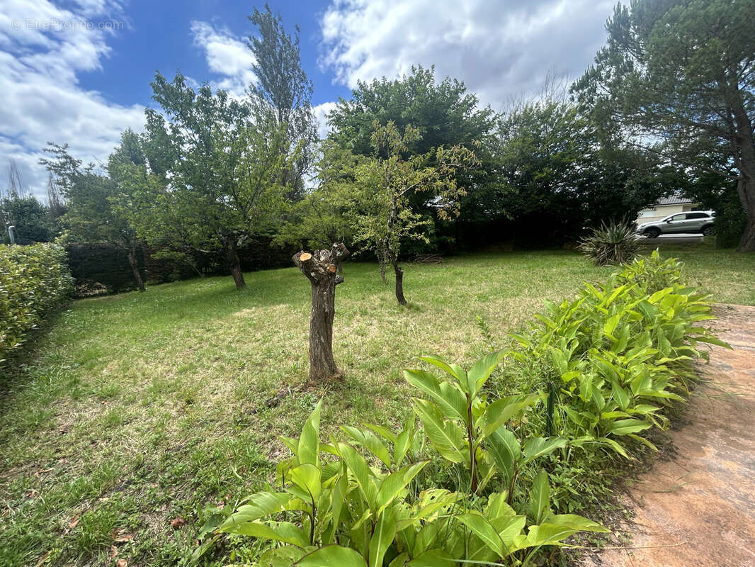 Terrain à SAINT-LOUBES