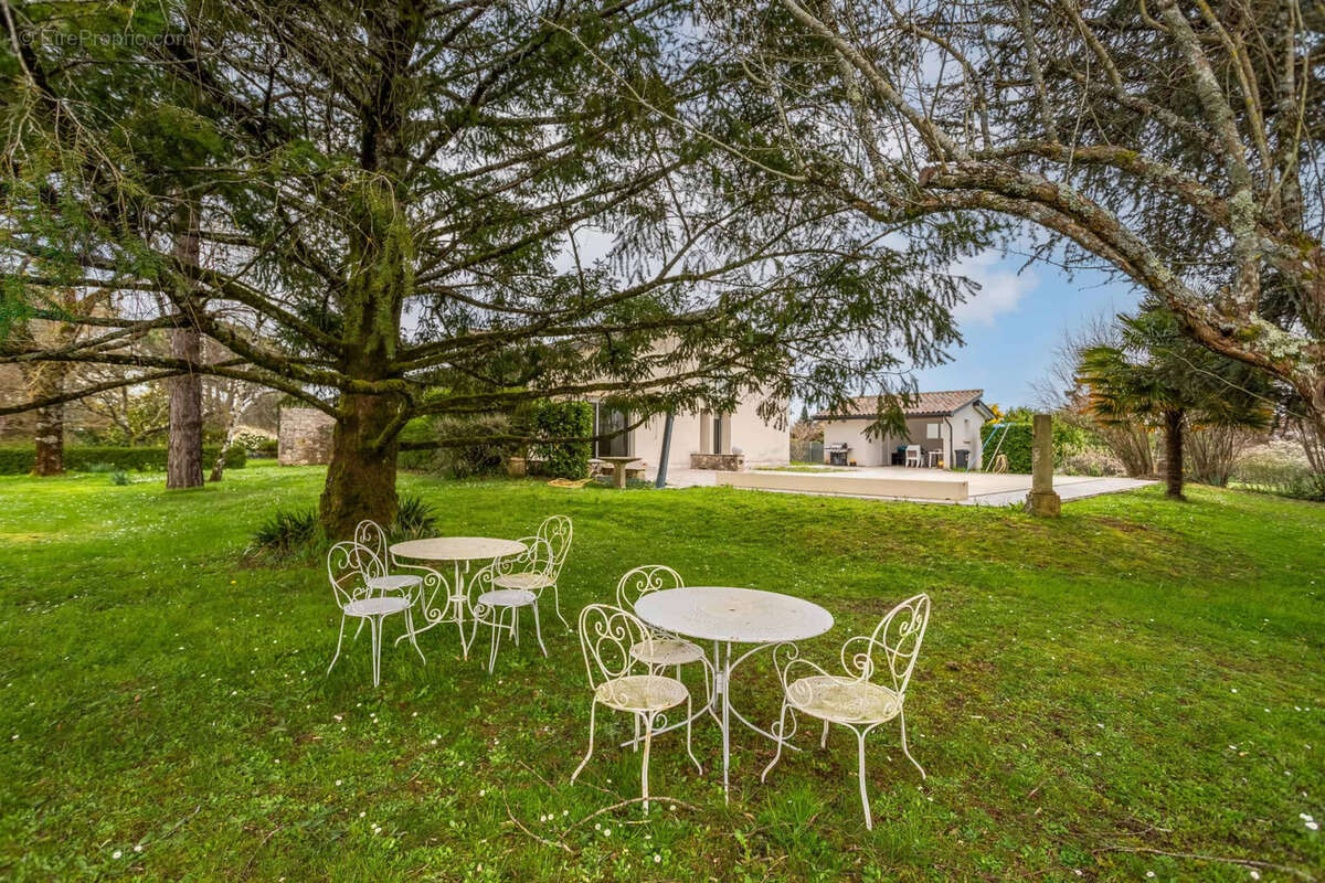 Village property with gite/annexe - photo 22