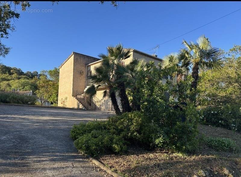 Maison à APPIETTO