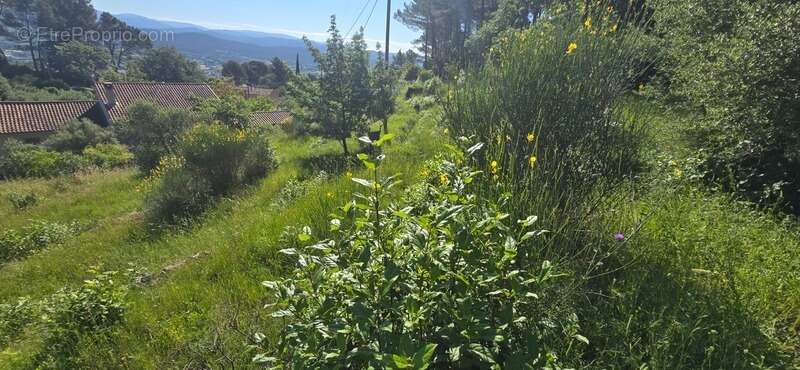 Terrain à SOLLIES-VILLE