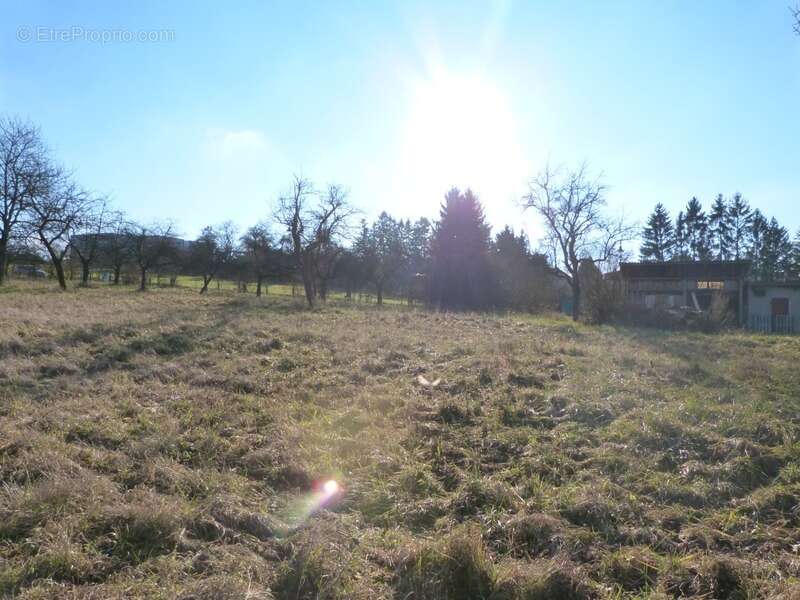 Dpt Moselle (57), à vendre proche de SARREGUEMINES terrain - Terrain de 855,00 m² - photo 5
