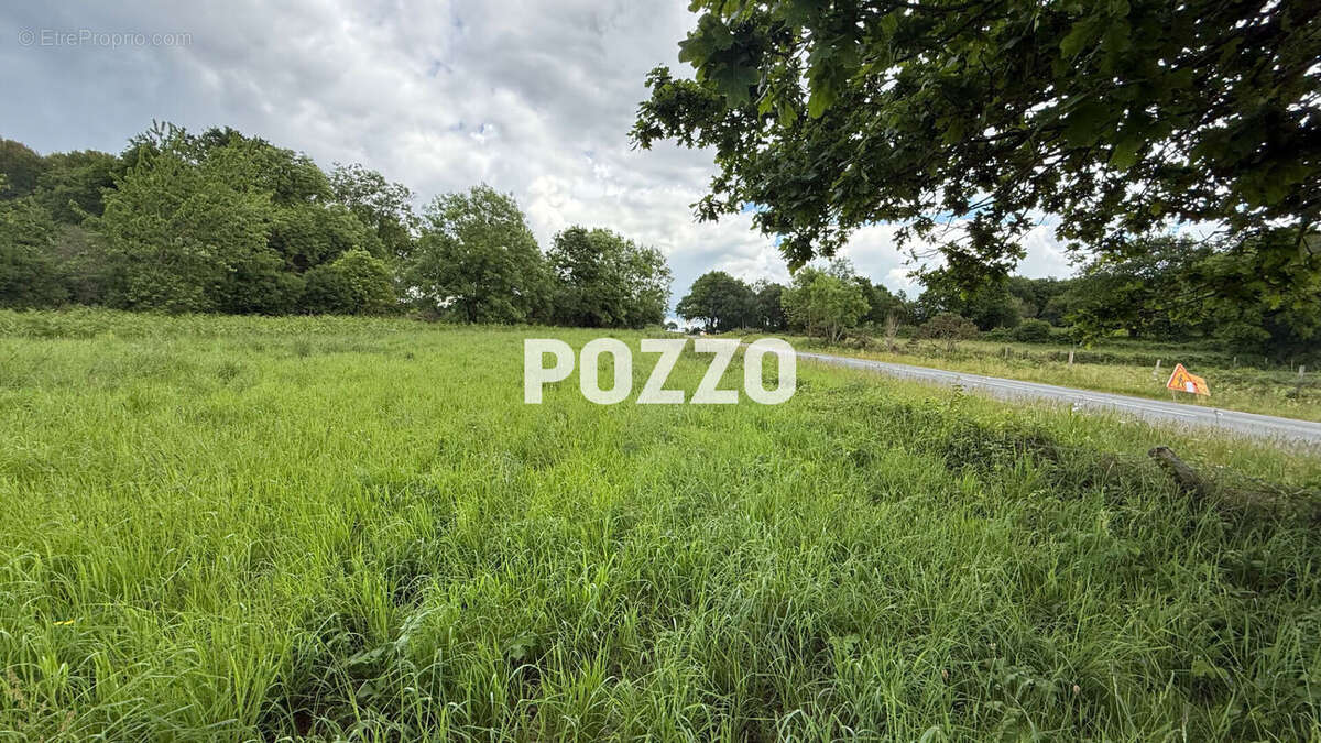 Terrain à JULLOUVILLE