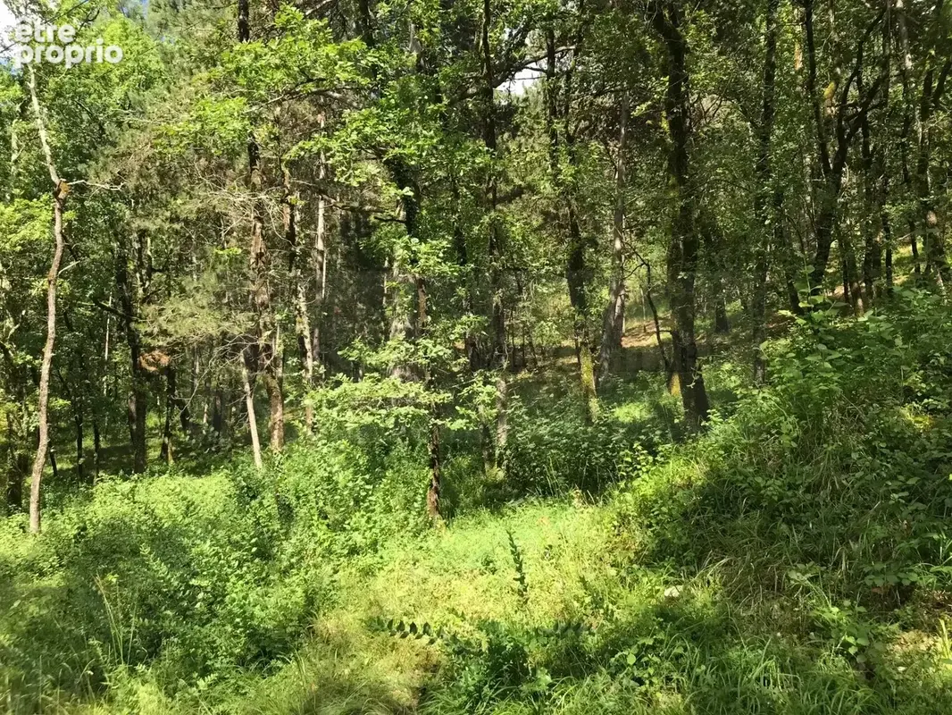 Terrain à bâtir de 7284 m² entièrement constructible et boisé avec superbe vue sur la campagne. - photo 4
