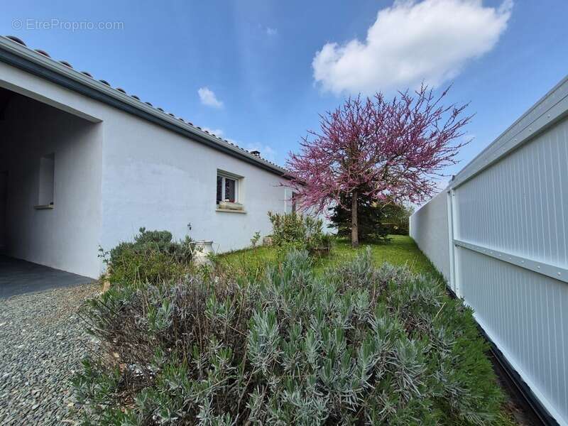 Maison à vendre 6 pièces PUY DU LAC (17) - photo 14