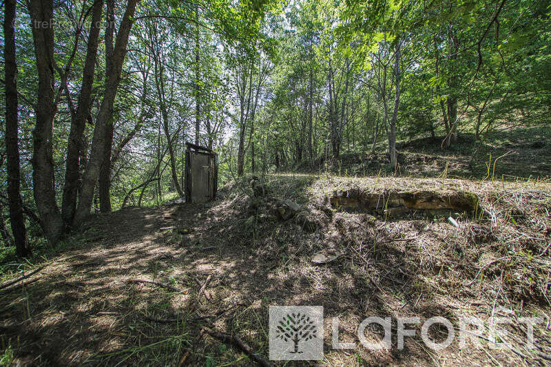 **muande + 7200 m² de terrain - embrun - photo 9