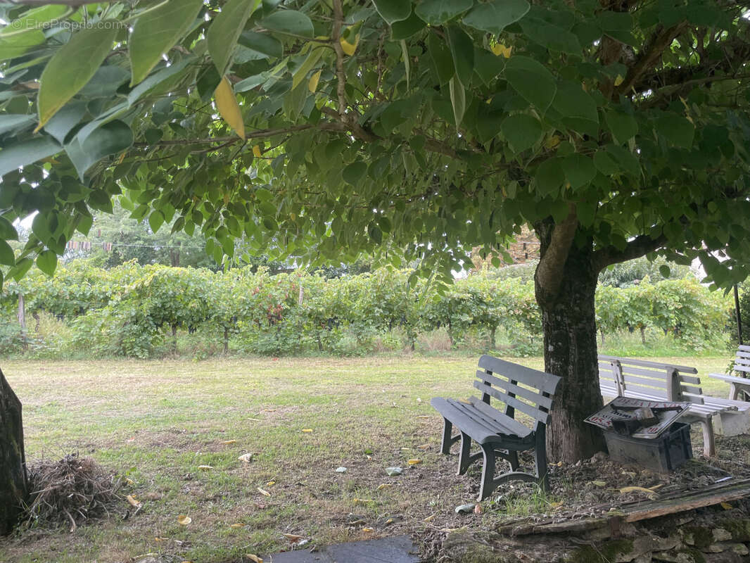 Maison à SAINT-PEY-DE-CASTETS